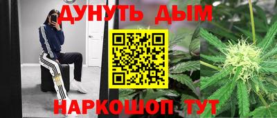 прущие грибы Обь
