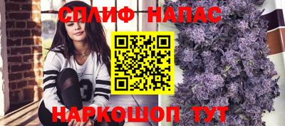 прущие грибы Обь