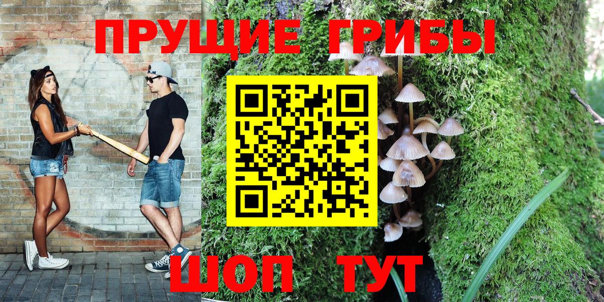 Сланцы  Псилоцибиновые грибы Magic Shrooms  Вход с VPN  Псилоцибиновые грибы Magic Shrooms 