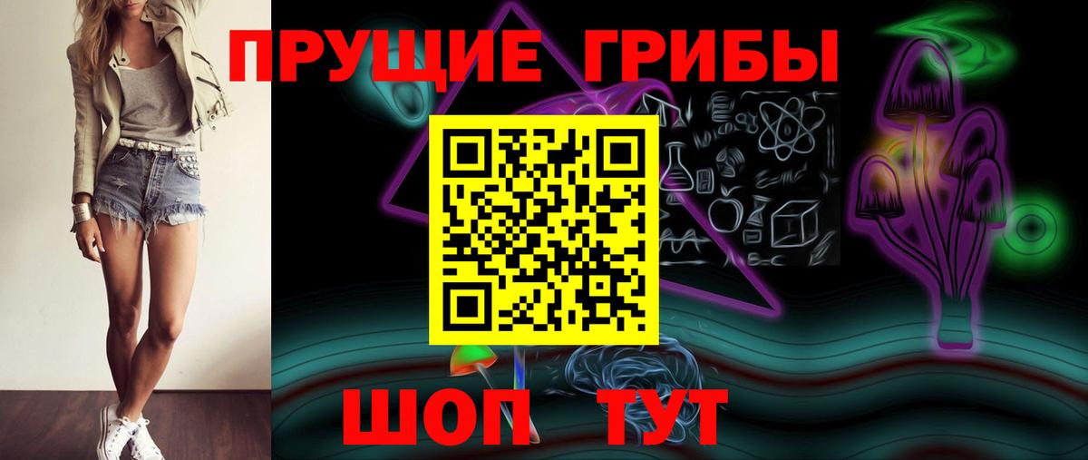 Псилоцибиновые грибы GOLDEN TEACHER Сланцы